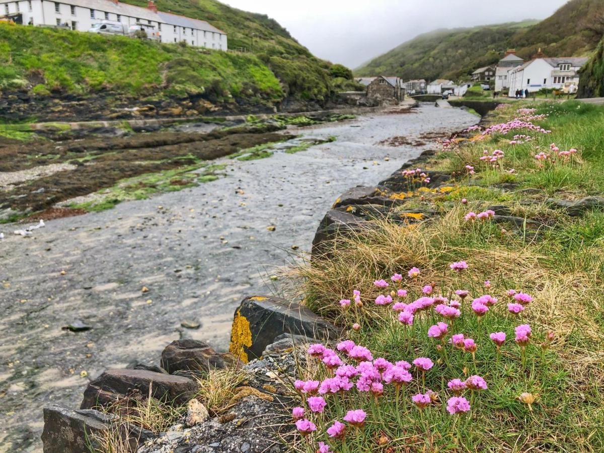 The Riverside Boscastle Zewnętrze zdjęcie